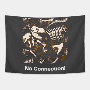 no connetction Tapestry