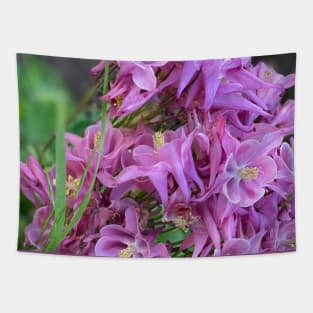 Pink Spring Flowers Tapestry