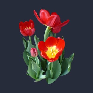 Bright Red Tulips T-Shirt