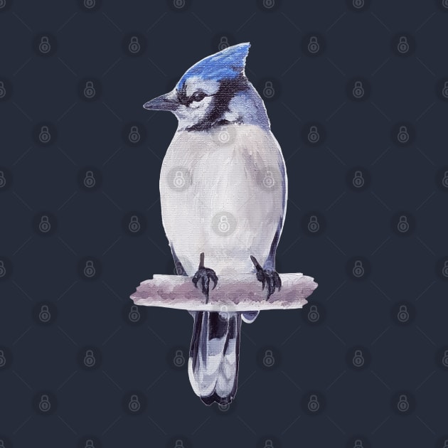 Blue Jay in Silver Light (no background) by EmilyBickell