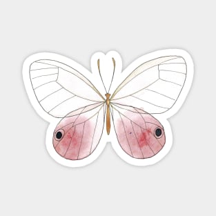 Blushing Phantom Watercolor Butterfly Drawing Magnet