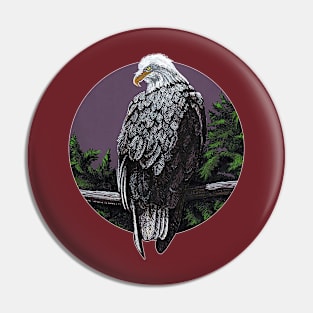 Bald eagle looking over shoulder Pin