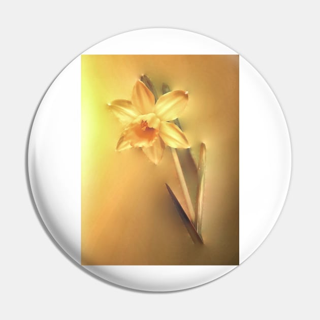 Yellow Daffodil Pin by JimDeFazioPhotography