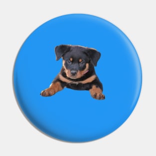 dog Pin