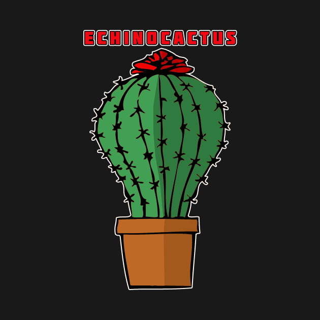 Echinocactus by headrubble