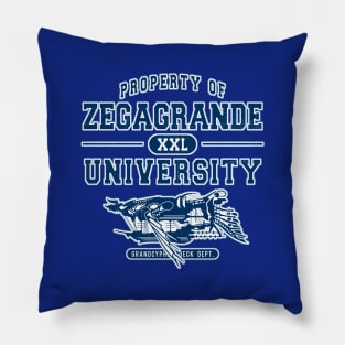 Zegagrande University Pillow