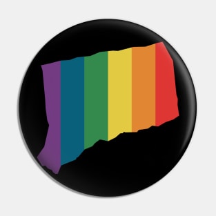Connecticut State Rainbow Pin