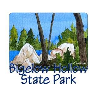 Bigelow Hollow State Park, Connecticut T-Shirt