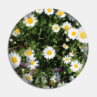 Summer Daisies Pin