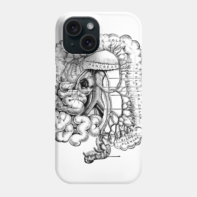 Human Body - Digestive System Phone Case by be yourself. design
