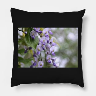 Wisteria and Bokeh Pillow