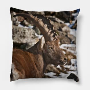 Ibex Pillow