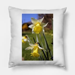 Speckled Daffodils Pillow