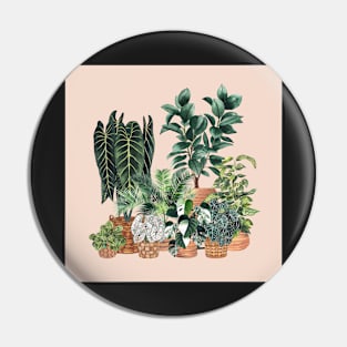 House Plants Illustration 1 On Pink Pin