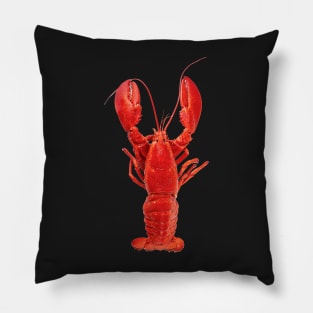 Atlantic Lobster 3 Pillow