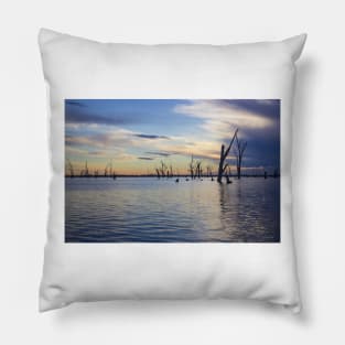 Lake Mulwala, Yarrawonga, Victoria, Australia. Pillow