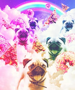 Pugs In The Clouds With Doughnut, Pizza, Rainbow Magnet