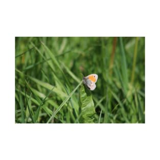 Beautiful Butterfly on a Dandelion in the Grass T-Shirt