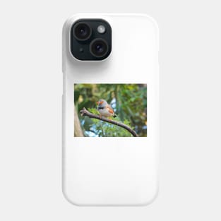 Zebra Finch Phone Case