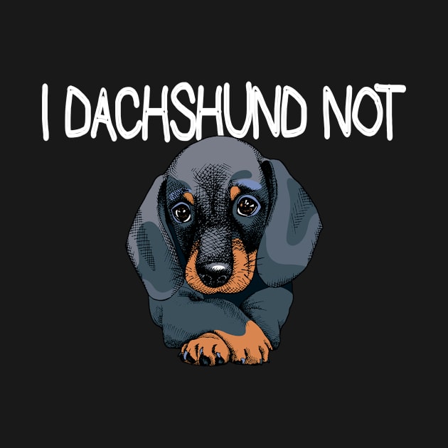 Dachshund Not by rezaabolghasemitam