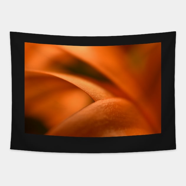 Orange flower petals Tapestry by ToniaDelozier