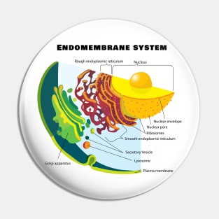 Endomembrane System on a Eukaryote Cell Chart Pin