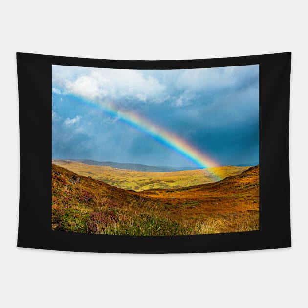 An Irish Rainbow Tapestry by TTDean