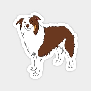 Border Collie Magnet