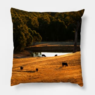 The Golden Hour Pillow