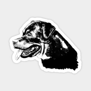 rottweiler portrait Magnet