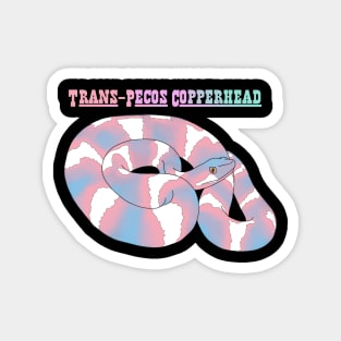 Trans Snek Magnet