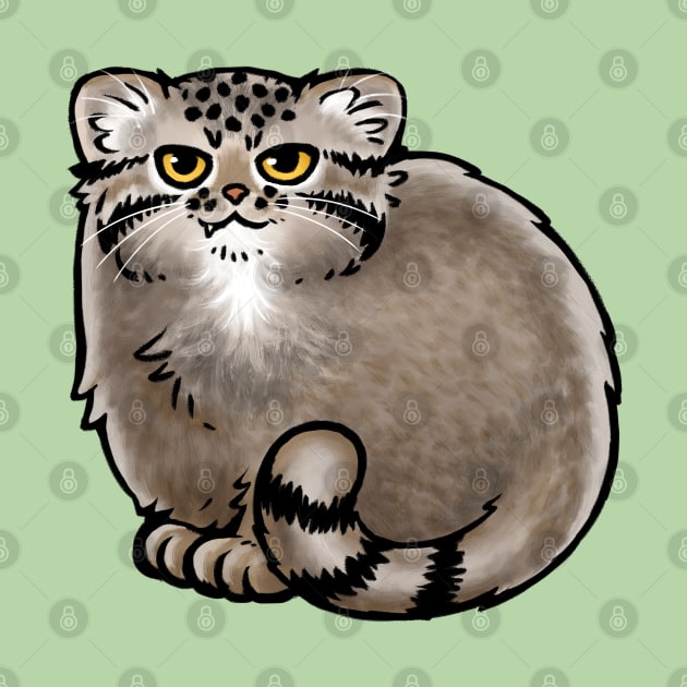 Pallas's Cat / Manul Cat by Studio Marimo