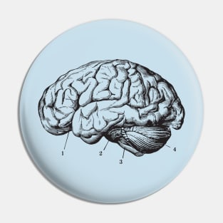 Brain Anatomy Pin