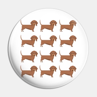 Brown Dachshund dog breed cute pattern Pin