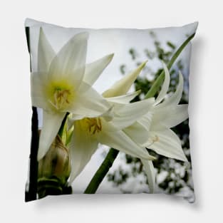 beautiful world with amaryllises in the garden Pillow