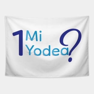 Echad Mi Yodea - Funny Passover Seder Tshirt design Tapestry