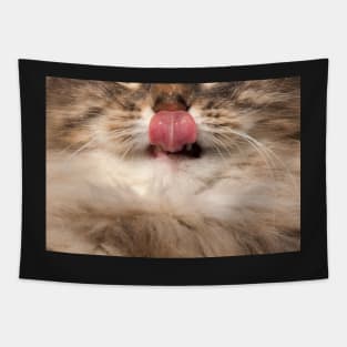 Cat Showing Tongue - Funny Face Tapestry