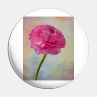 Soft pink Textured Ranunculus Pin