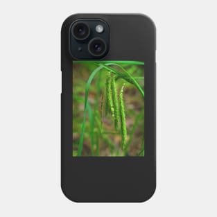 Harvest Phone Case