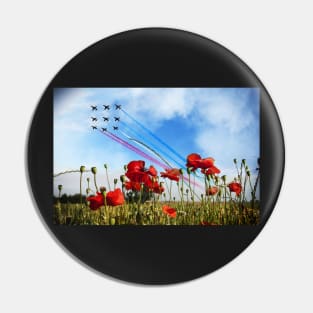 Reds and Poppies Pin