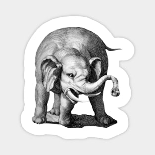 Angry elephant Magnet