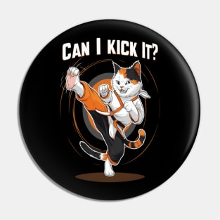 Can I Kick It ? Funny Kung fu cat Pin