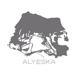 Alyeska Resort 3D T-Shirt