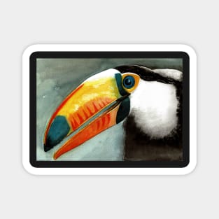 Toucan Magnet