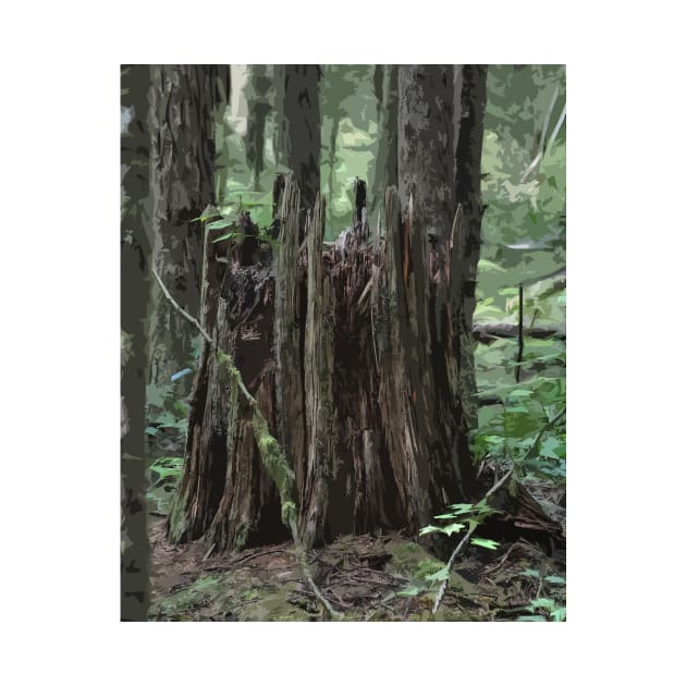 Stump In The Forest by KirtTisdale