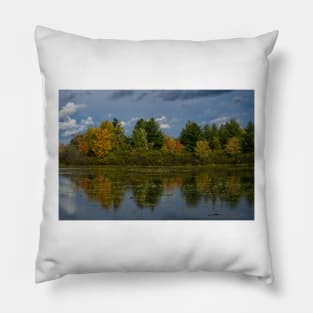 Reflection of the fall season Pillow