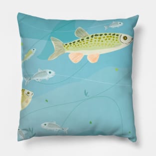 Underwater Pillow