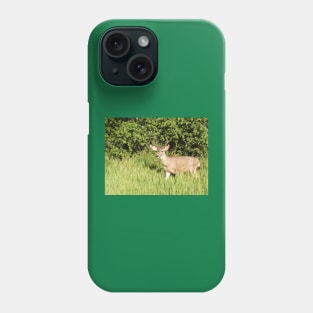 Mule deer, wildlife, Woodland King Phone Case