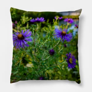 Asters Pillow