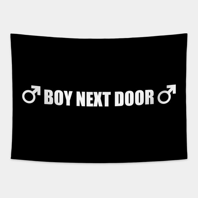 Boy Next Door - Gachi Inspired Meme Tapestry by TheMemeCrafts